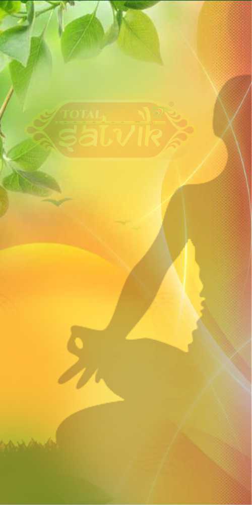 Shop Left Banner