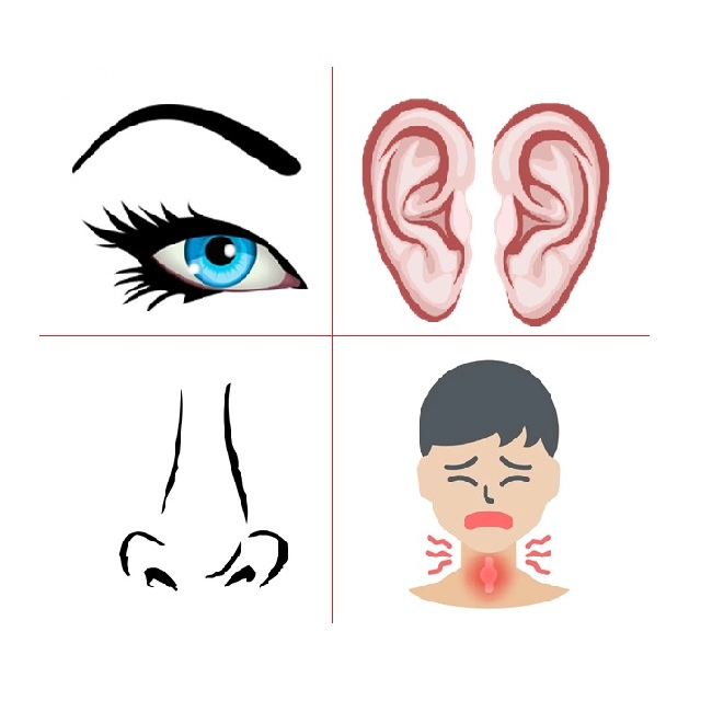 Eye Ear Nose and Throat