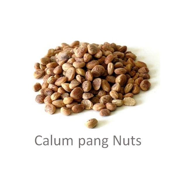Calumpang Nuts _ Charoli