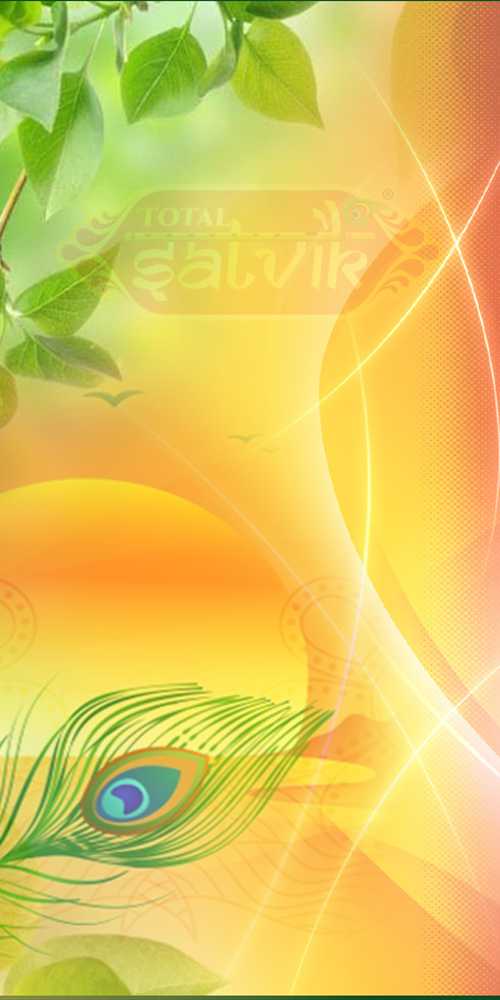 Shop Banner 2